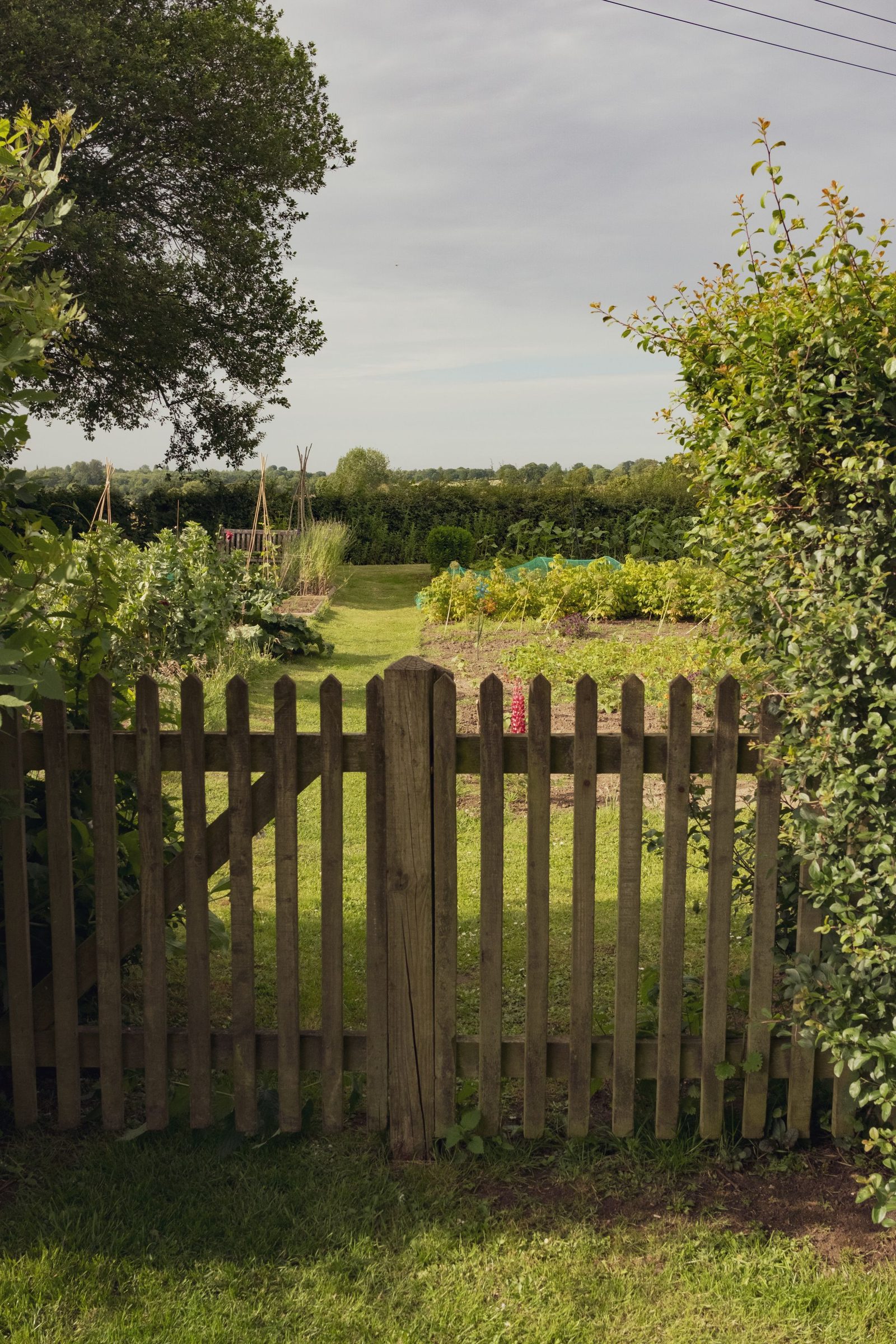 A wooden garden gate opening onto an English country garden and the fields beyond