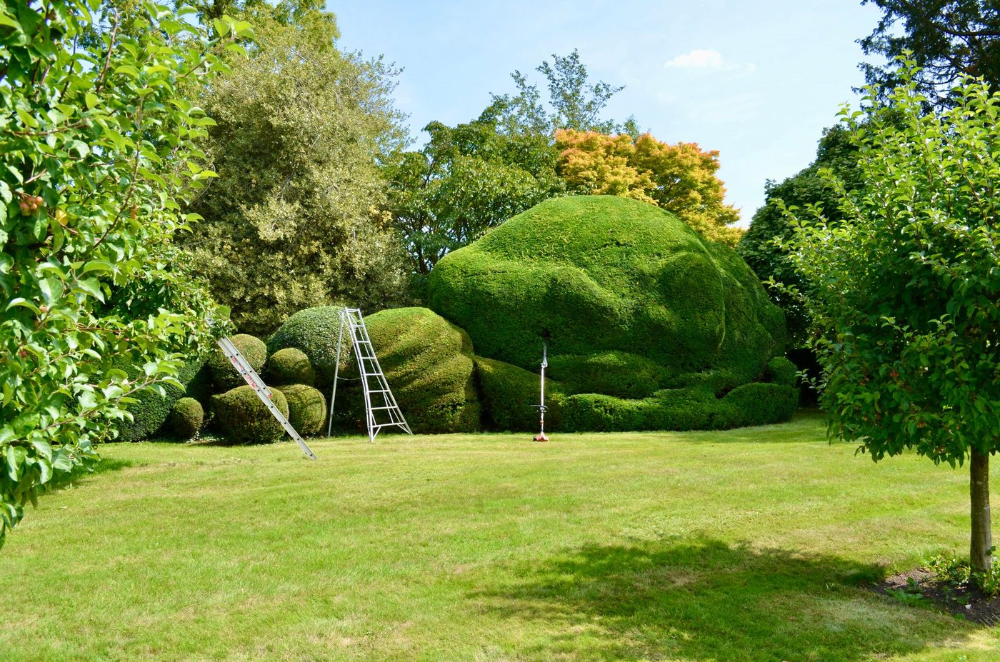 Garden Maintenance