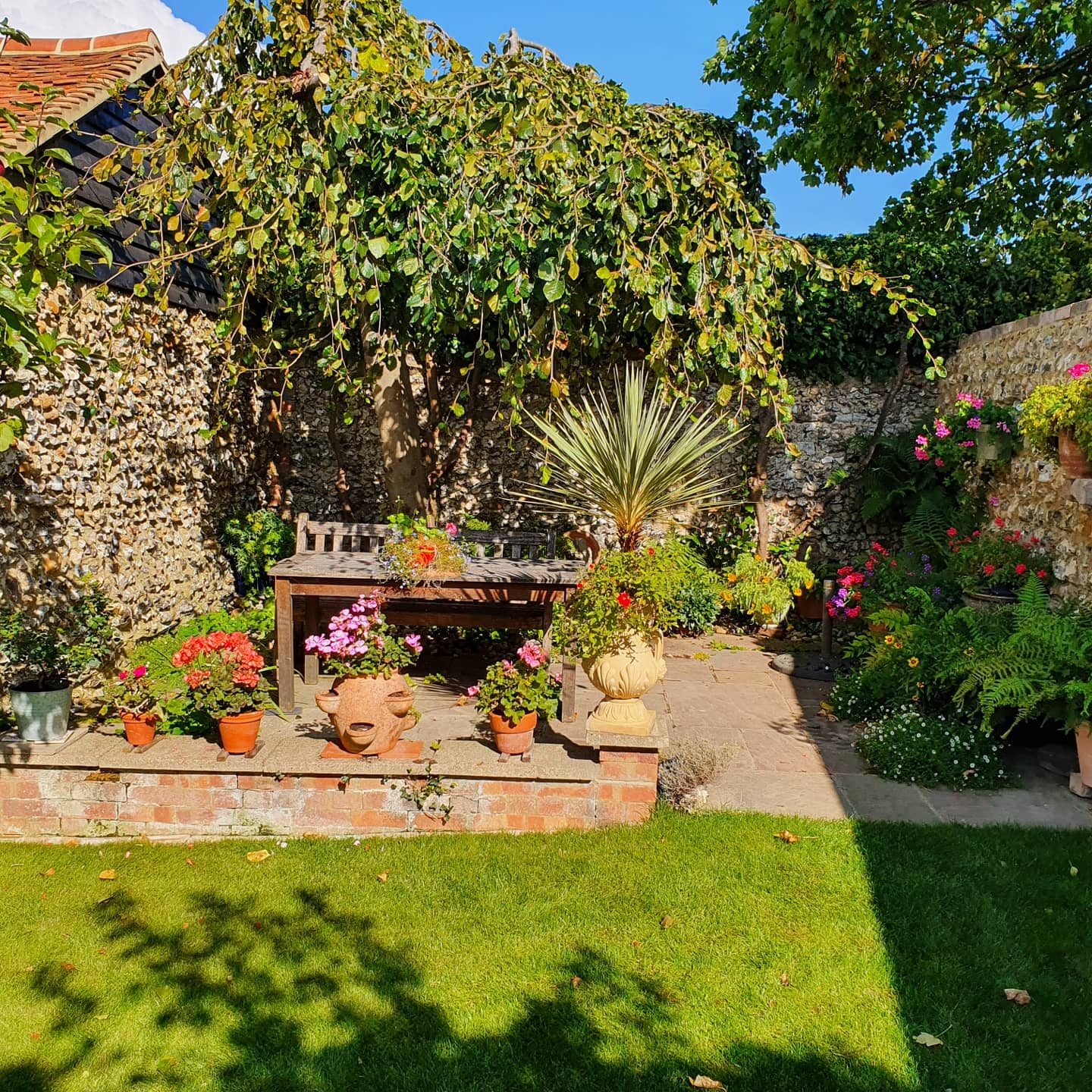 A walled courtyard, planted for structure